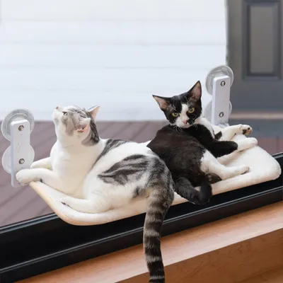Produktbild von Katzen-Fensterhängematte 60*30 cm, klappbar, stabil mit Saugnäpfen bis 18 kg Tragkraft, Farbe: Weiß