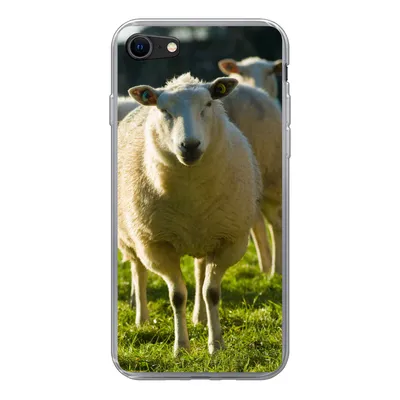 Produktbild von MuchoWow® Handyhülle Schutzhülle Hülle für iPhone 7 Schafe - Tiere - Wolle Silikon Softcase Handy Hülle - Kartenhalter