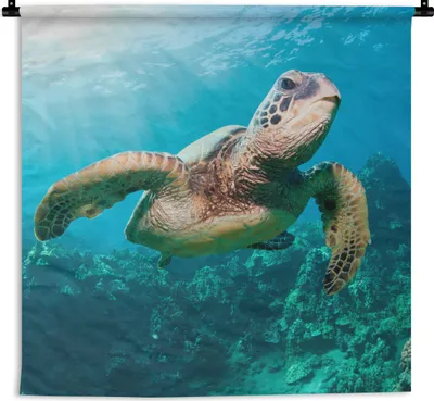 Produktbild von MuchoWow® Wandteppich Wandbehang Schwimmende Schildkröte Fotodruck 90x90 cm Tapisserie Dekoration Wandtuch - Wandaufhänger