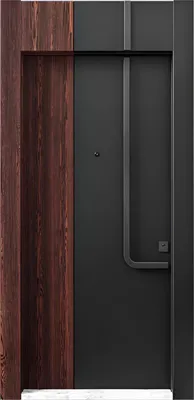 Image de Porte d'entrée noir-brun Porte d'entrée design Portes d'hôtel élégantes