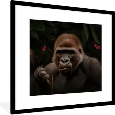 Produktbild von MuchoWow® MuchoWow® Gerahmtes Poster Schmetterlinge - Affe - Dschungel 40x40 cm - Poster mit zchwarzem Bilderrahmen - Poster - Plakat im Rahmen