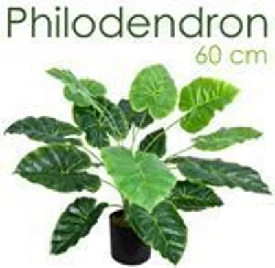 Obrázok produktu pre Decovego Umelá rastlina aronika (Araceae, Arum Taro), umelá rastlina vyrobená z kvalitného plastu, výška 60 cm, vhodná do interiéru, nenáročná na údržbu a vhodná pre alergikov