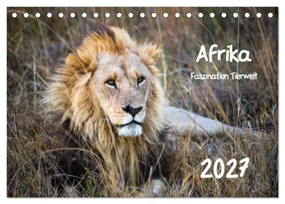 Produktbild von Afrika - Faszination Tierwelt (Tischkalender 2027 DIN A5 quer), CALVENDO Monatskalender