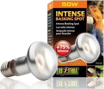 A product shot of an Exo Terra Intense Basking Spot 50W bulb and its packaging.