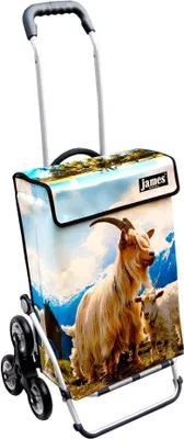 Produktbild von James Einkaufstrolley - MECKER - stabiler Einkaufswagen mit individuellem Design - mehrfarbig: beige | blau in Ausführung: Royal-Treppensteiger