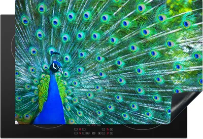 Produktbild von KitchenYeah© Herdabdeckplatte Pfau - Blau - Tiere , 76x51cm, Küche Deko, Glaskeramikkochfeld Herdabdeckung, Abdeckplatte fùr Kochfeld