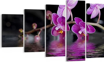 Produktbild von Bild auf Leinwand - Leinwandbild - Asien exotisch orchidee blume - 100x60cm - Wand Bild - Wanddeko - Leinwanddruck - Bilder - Kunstdruck - Wanddekoration - Leinwand bilder - Wandkunst - EG100x60-2312