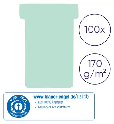 Produktbild von FRANKEN Kartentafel Zubehör T-Karten, Index 3, 100 Stück, hellgrün, TK319