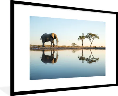 Produktbild von MuchoWow® MuchoWow® Gerahmtes Poster Elefant - Wasser - Bäume - Tiere - Natur 90x60 cm - Poster mit zchwarzem Bilderrahmen - Wanddekoration - Fotos