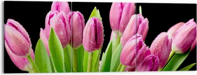 Produktbild von Bild auf Leinwand - Leinwandbild - Tulpen Blumenstrauß Tau Tropfen - 150x50cm - Wand Bild - Wanddeko - Leinwanddruck - Bilder - Kunstdruck - Leinwand bilder - Wandkunst - CA150x50-2486