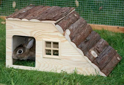 Produktbild von Kerbl Nagerhaus mit Rampe Nature