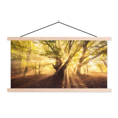 Produktbild von MuchoWow® Textilposter Baum - Wald - Sonne 120x60 cm mit holzfarbenen Rahmen - Klemmleiste