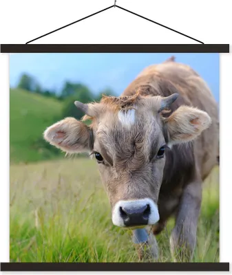 Produktbild von MuchoWow® Textilposter Kuh - Tiere - Braun - Gras 120x120 cm mit schwarzem Rahmen - Aufhängungsset