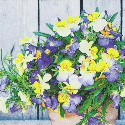 Obrázok produktu pre Ubrousky 25 x 25 cm – Zmes macešiek