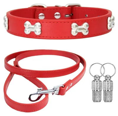 Productafbeelding van Elzusha - Verstelbare Hondenhalsband en Leash voor Kleine Honden