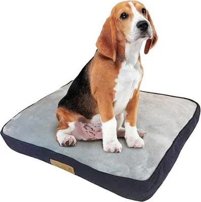 Image de Lit pour chien de 91 cm, bleu et gris, en velours côtelé et Fourrure artificielle