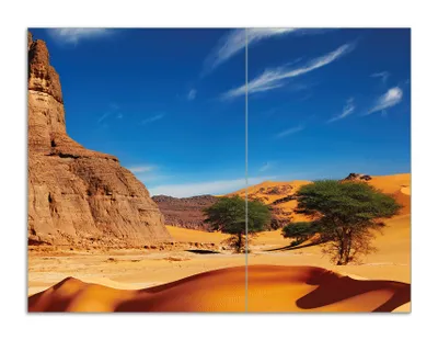 Produktbild von Wallario Herdabdeckplatte aus Glas, Größe 70 x 52 cm 2-teilig, Motiv In der Wüste Sahara