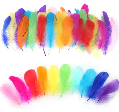 Produktbild von 300 bunte, natürliche Federn für kreative Bastelarbeiten, 8-12 cm lang