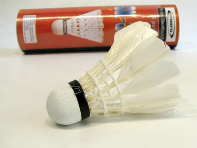 Image de Fléchettes de badminton blanches 6pcs