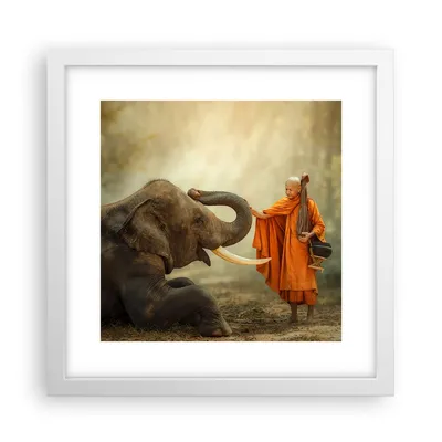 Produktbild von Gerahmtes Poster - Weißer Rahmen - Elefant Mönch Stoßzahn - 30x30 cm - Wand Bild - Wanddeko - Wandbilder - Kunstposter - Wandposter - Bilderrahmen - Bilder - Kunstdruck - Wandbild - P2WAC30x30-3484
