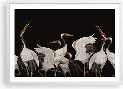 Produktbild von Gerahmtes Poster - Weißer Rahmen - Kraniche Vögel Grafiken - 70x50 cm - Wand Bild - Wanddeko - Wandbilder - Kunstposter - Wandposter - Bilderrahmen - Bilder - Kunstdruck - P2WAA70x50-4748