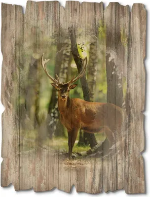 Produktbild von ARTland Holzbild Vintage Hirsch 4 - Wald Größe: 30x40 cm