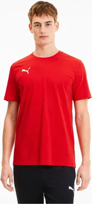 Produktbild von L|PUMA teamGOAL Casuals Herren T-Shirt 656578-01