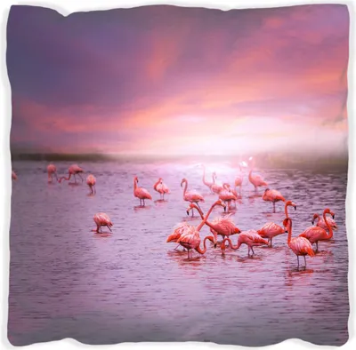 Produktbild von Wallario Premium Kissen, weiche Oberfläche, mit Motiv Rosa Flamingos bei Sonnenuntergang, Größe: 60 x 60 cm, mit weißer Rückseite