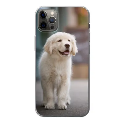 Produktbild von MuchoWow® Handyhülle Schutzhülle Hülle für iPhone 13 Pro Max Ein Golden Retriever Welpe läuft auf dem Bürgersteig Silikon Softcase Handy Hülle - Mobiltelefon