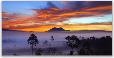 Produktbild von Glasbilder 140x70 Wandbild Druck auf Glas Bäume Nebel Landschaft