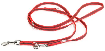 Productafbeelding van IDC Color & Gray verstelbare lijntje met dubbele karabijnhaak, 14 mm x 2,2 m, rood-grijs