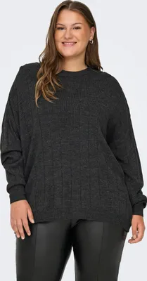 Image de Pull en maille avec motif Col rond Manches longues Curves | 50-52