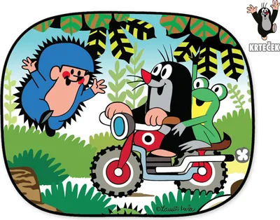 Immagine prodotto di Visiera per auto 2 x Mole