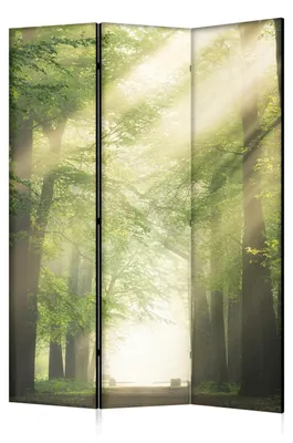 Produktbild von framed concept - Paravent Raumteiler Holz 135x172 cm, 3-teilig beidseitig, Sichtschutzwand