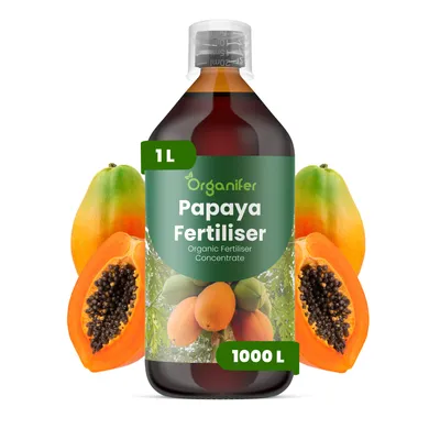 Zdjęcie produktu dla Papaja Nawóz Płynny 1 L – 2-1-8 NPK – Do Papáju – Podporuje Silny Wzrost i Bohatú Úrodu Plodov – Organifer