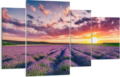 Produktbild von Bild auf Leinwand - Leinwandbild - Lavendel Berge Feld - 120x70cm - Wand Bild - Wanddeko - Leinwanddruck - Bilder - Kunstdruck - Wanddekoration - Leinwand bilder - Wandkunst - DL120x70-3816