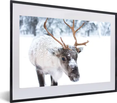 Produktbild von MuchoWow® MuchoWow® Gerahmtes Poster Hirsche - Rentiere - Schnee 60x40 cm - Poster mit zchwarzem Bilderrahmen - Schlafzimmer - Plakat in Rahmen - Drucken