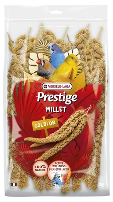 Produktbild von Kolbenhirse Gelb 1 Kg