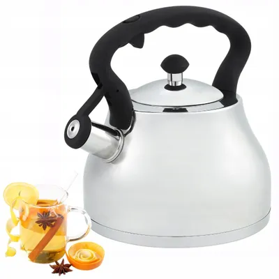 Produktbild von Ofenbach Traditioneller Wasserkocher Edelstahl mit Pfeife Induktion