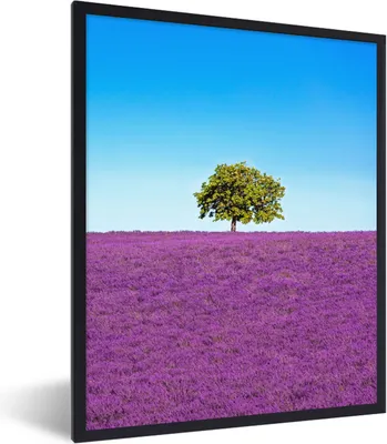 Produktbild von MuchoWow® Gerahmtes Poster Baum - Lila - Himmel - Lavendel 60x80 cm - Poster mit Schwarzem Bilderrahmen Wandposter Rahmen Foto Bilder - Premium - Wanddeko Wohnzimmer