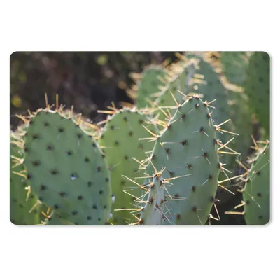 Produktbild von MuchoWow® Mauspad Mousepad Botanischer Kaktus Fotodruck 27x18 cm - Mousepads - Maus Mat - Pad - Mausunterlage - Büroartikel - Desk Matten
