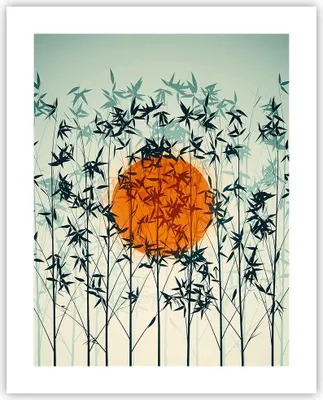 Produktbild von Poster - Poster ohne Rahmen - Westen Sonne Gras - 40x50 cm - Wand Bild - Wanddeko - Wandbilder - Kunstposter - Wandposter - Bilder - Kunstdruck - Wanddekoration - Wandbild - P2XPA40x50-5104