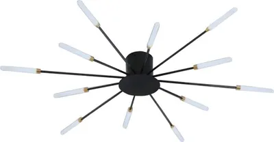 Produktbild von RealG 1244 LED-Deckenleuchte „Feuerwerk“, 12 W, 220 V, 1350 lm, 12 Arme