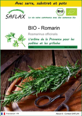 Image de SAFLAX Ensemble de culture -- Romarin - 40 graines - Rosmarinus