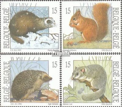 Produktbild von Briefmarken Belgien 1992 Mi 2529-2532 (kompl.Ausg.) postfrisch Einheimische Tiere