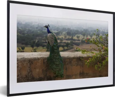 Produktbild von MuchoWow® MuchoWow® Gerahmtes Poster Pfau - Wand - Natur 60x40 cm - Poster mit zchwarzem Bilderrahmen - Schlafzimmer - Plakat in Rahmen - Drucken