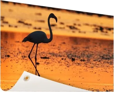 Produktbild von Gartenposter - 120x80 cm - Flamingosilhouette bei Sonnenuntergang  - Modernes Wandbilder