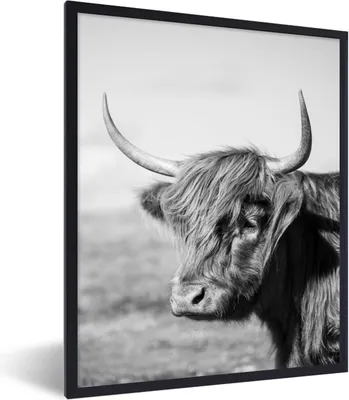 Produktbild von MuchoWow® Gerahmtes Poster Schottischer Highlander - Tiere - Schwarz - Weiß 60x80 cm - Poster mit Schwarzem Bilderrahmen Wandposter Rahmen Foto Bilder - Premium - Wanddeko Wohnzimmer