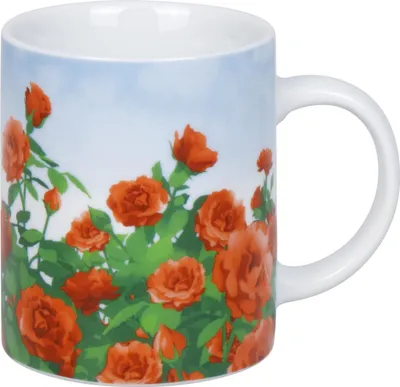 Obrázek produktu pro KÖNITZ 1110023011 Šálek Rosenfeld 300 ml z porcelánu