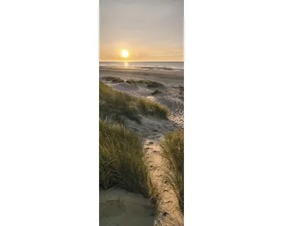Produktbild von Glasbild Weg zum Strand II 30x80 cm